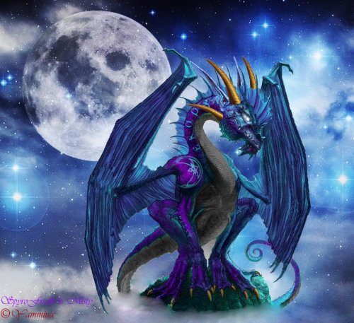 Звездный дракон: мудрый красавец