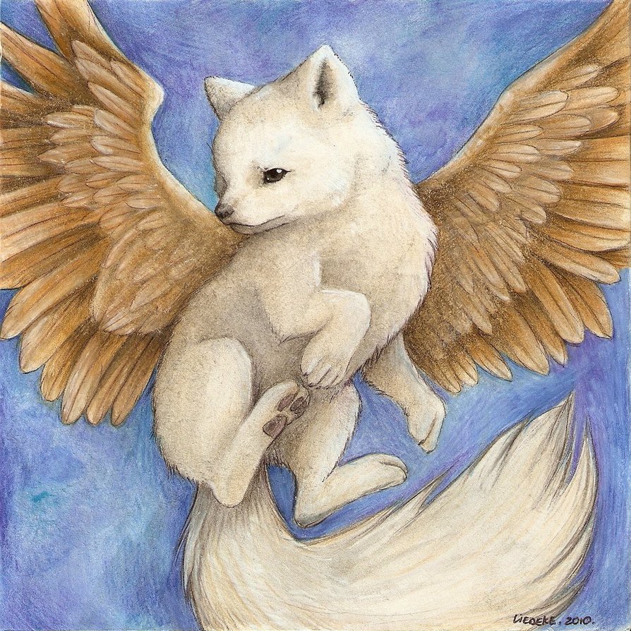 http://dreamworlds.ru/uploads/posts/2011-03/1301182207_white_flying_fox_by_kitsunebaka91-d3b1u1j.jpg