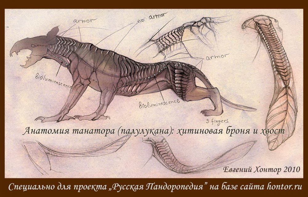 http://dreamworlds.ru/uploads/posts/2011-04/1302272823_anatomiya02.jpg