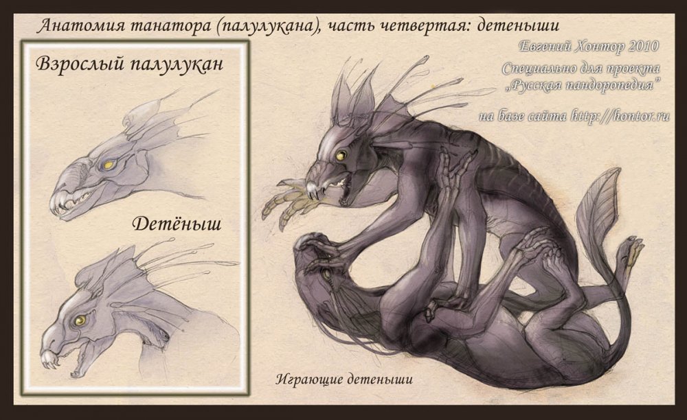http://dreamworlds.ru/uploads/posts/2011-04/1302272841_anatomiya04.jpg
