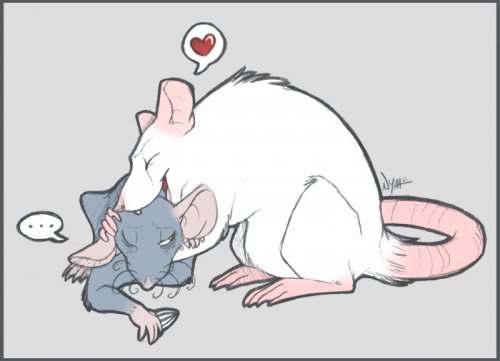 Крысы и мыши - часть вторая