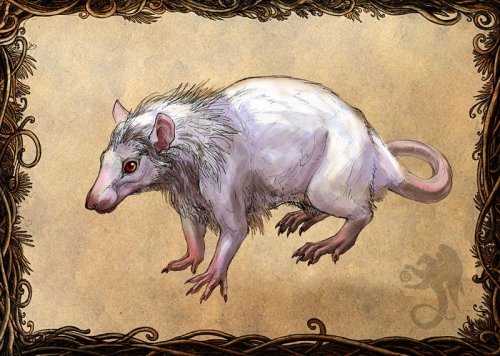 Крысы и мыши - часть четвертая