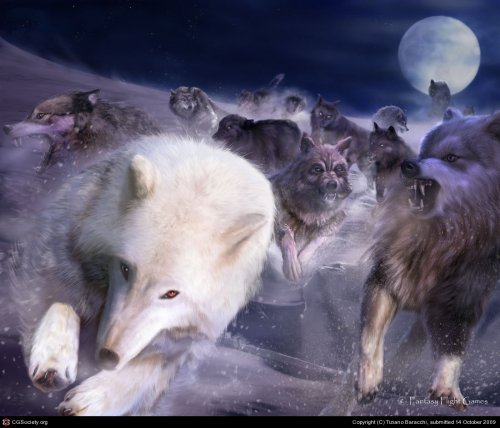 Волки в мифологии разных стран и времён.