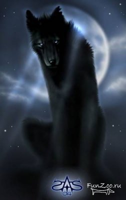 Волки в мифологии разных стран и времён 1312030404_wolf-1-16