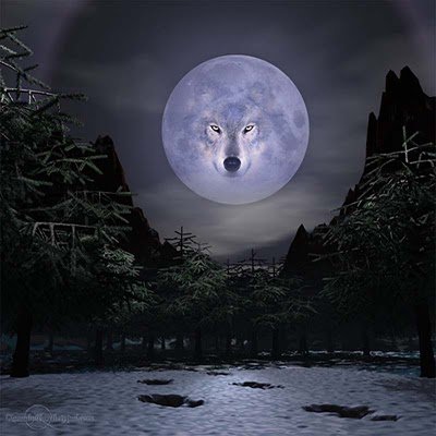 Волки в мифологии разных стран и времён 1312030510_wolf-1-35