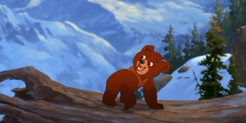 Brother bear: Лоси в бегах