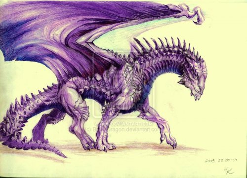 Аметистовый дракон: царственное величие