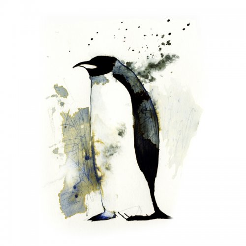 Уважаемые Пингвины