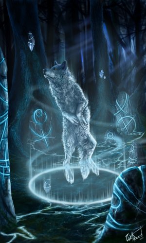 В мире волков WolfRoad. Часть 1