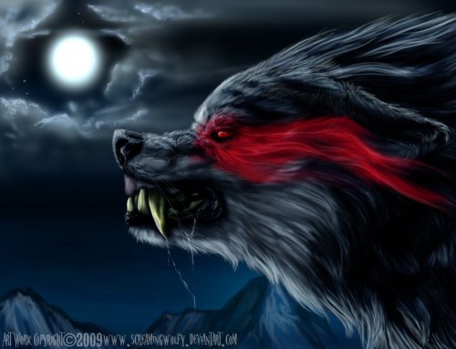 В мире волков WolfRoad. Часть 3