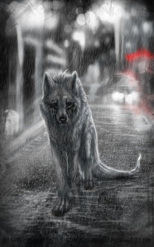 В мире волков WolfRoad. Часть 4