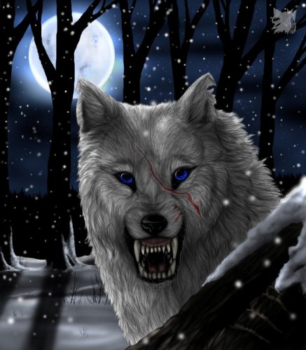 В мире волков WolfRoad. Часть 4