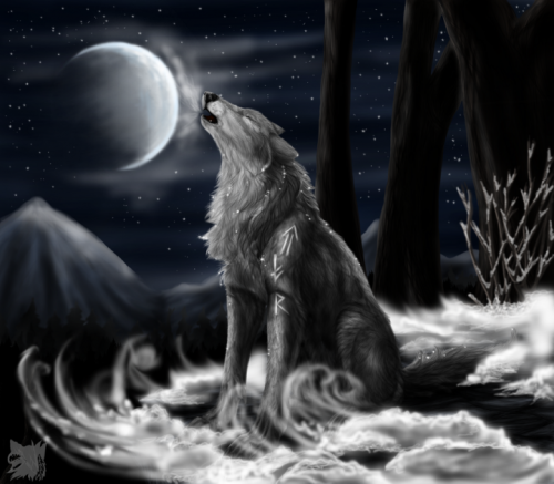 В мире волков WolfRoad. Часть 5