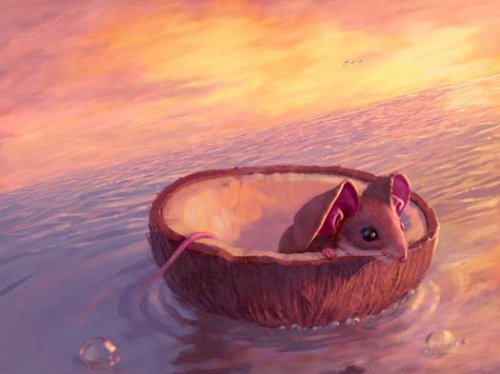 http://dreamworlds.ru/uploads/posts/2011-12/thumbs/1324580508_baby-mouse-in-coconutmolodaya-mysh-v-kokosovom-orexe.jpg
