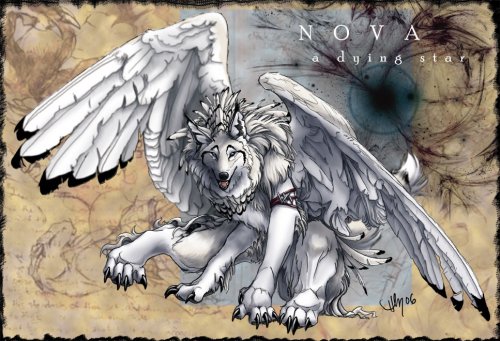 Пернатые и крылатые от Novawuff