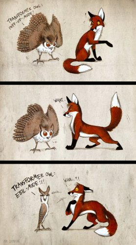 Culpeo-Fox! о, эти великие лисы