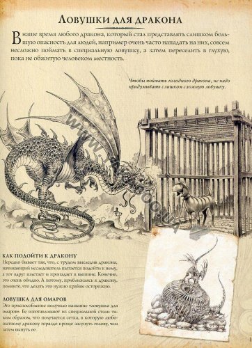 Книги о драконах. Часть первая