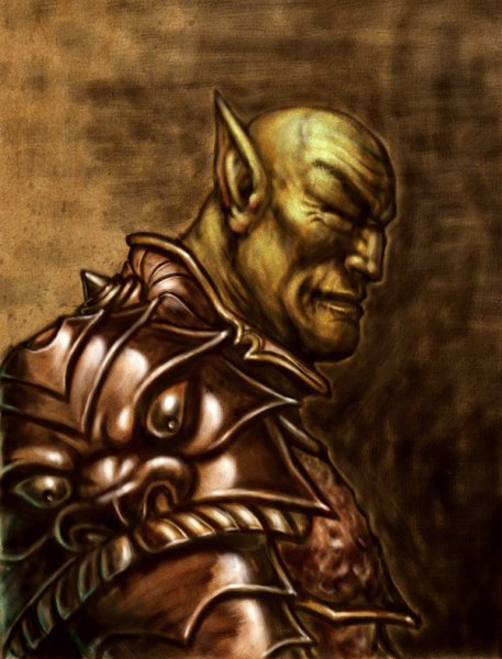 The Elder Scrolls V Skyrim: расы. Меры они же эльфы. Часть 2