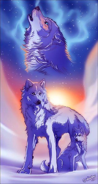 Снежные волки и собаки by WhiteFear (Ruhje)