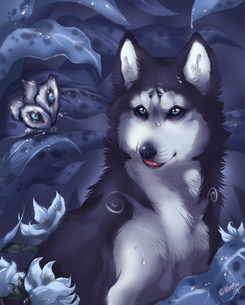 Снежные волки и собаки by WhiteFear (Ruhje)