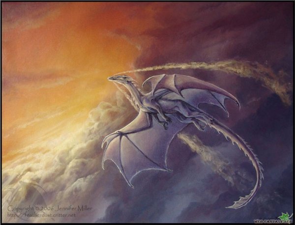 Миры драконов: "Приключения дракоши". Лесогорье