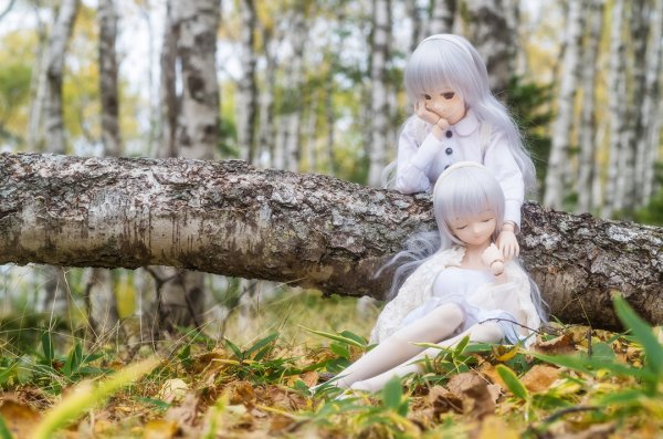 Куклы фотографа Azure