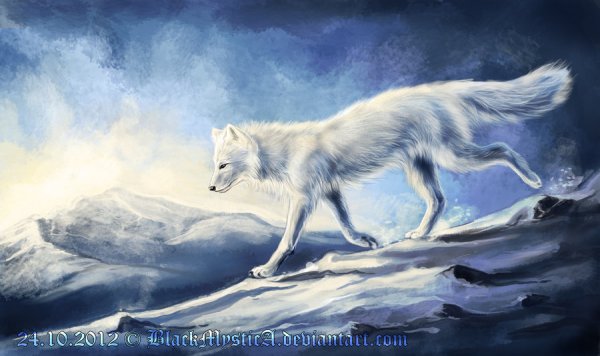 Arctic fox & Lynx