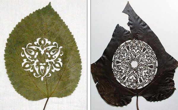 Лоренцо Дюран и его удивительная резьба по листьям