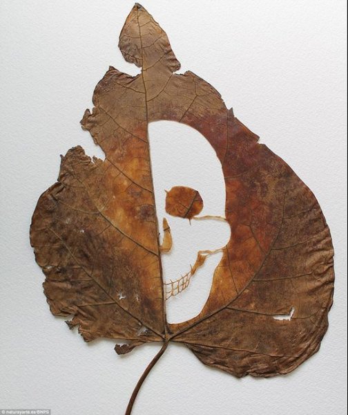 Лоренцо Дюран и его удивительная резьба по листьям