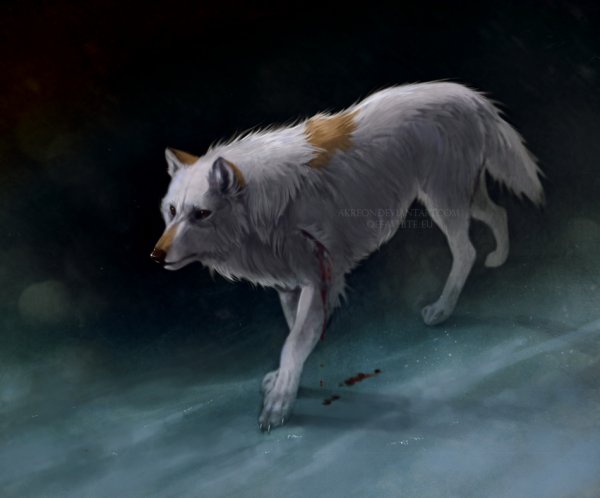 Off-white - мир, которым правят волки. Арты Akreon