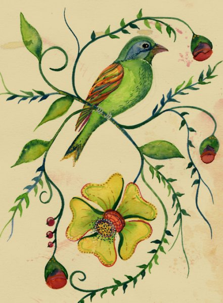 Wildlife in Inks & Watercolours ~ Colleen Parker